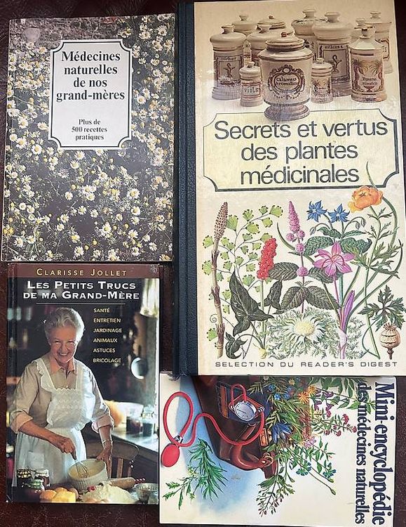 Perruque de Grand-Mère pour Femme - Au quotidien