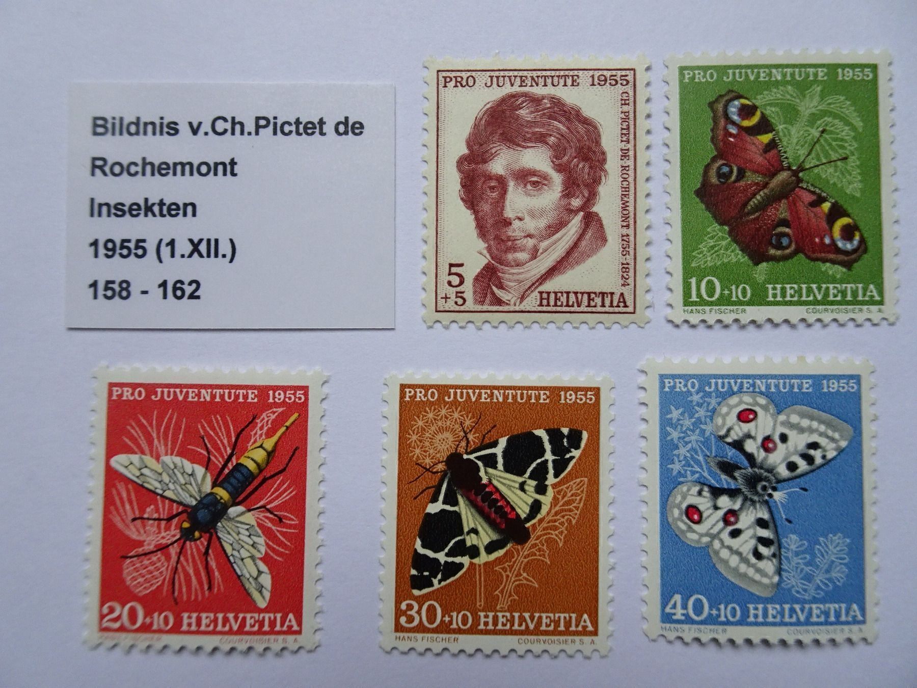 Tous les timbres: PJ 1955* – Neuf (Voir description) à Aadorf par Chnorli-Furz