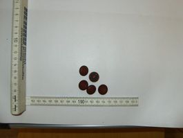 5 Knöpfe Ø 18 mm Kunststoff Rot