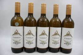 5x Carmelin Heida 2024 - Weisswein (26060663Z)