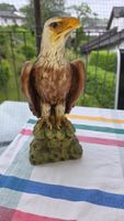 Keramik Adler Figur Deko 🦅 Heim Deko Dekoration