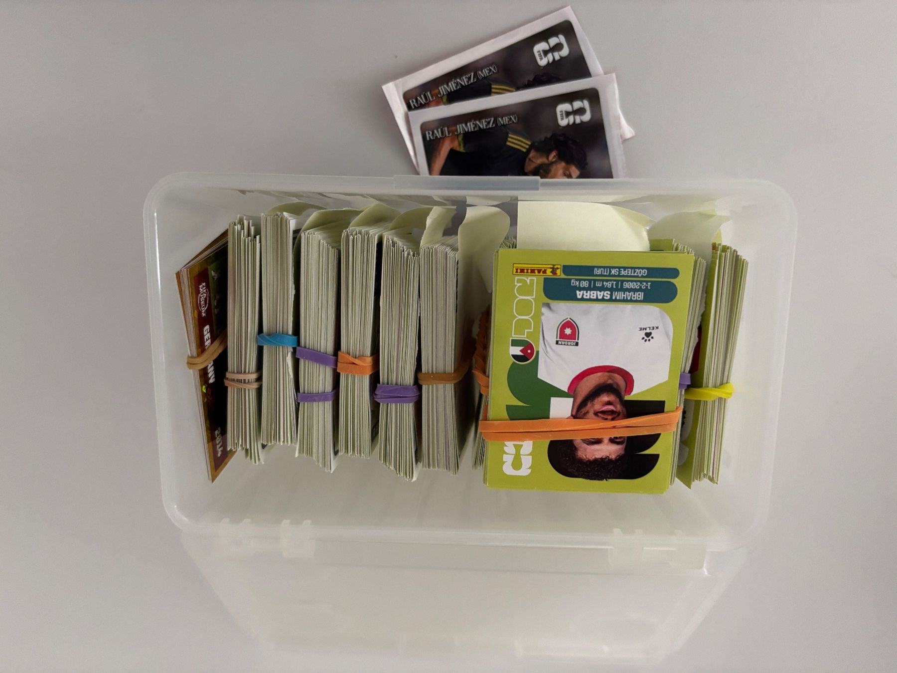 Panini Carte collezionabili: Panini 2026 (460 Bilder) – Usato da Zunzgen venduto da Schnappi71