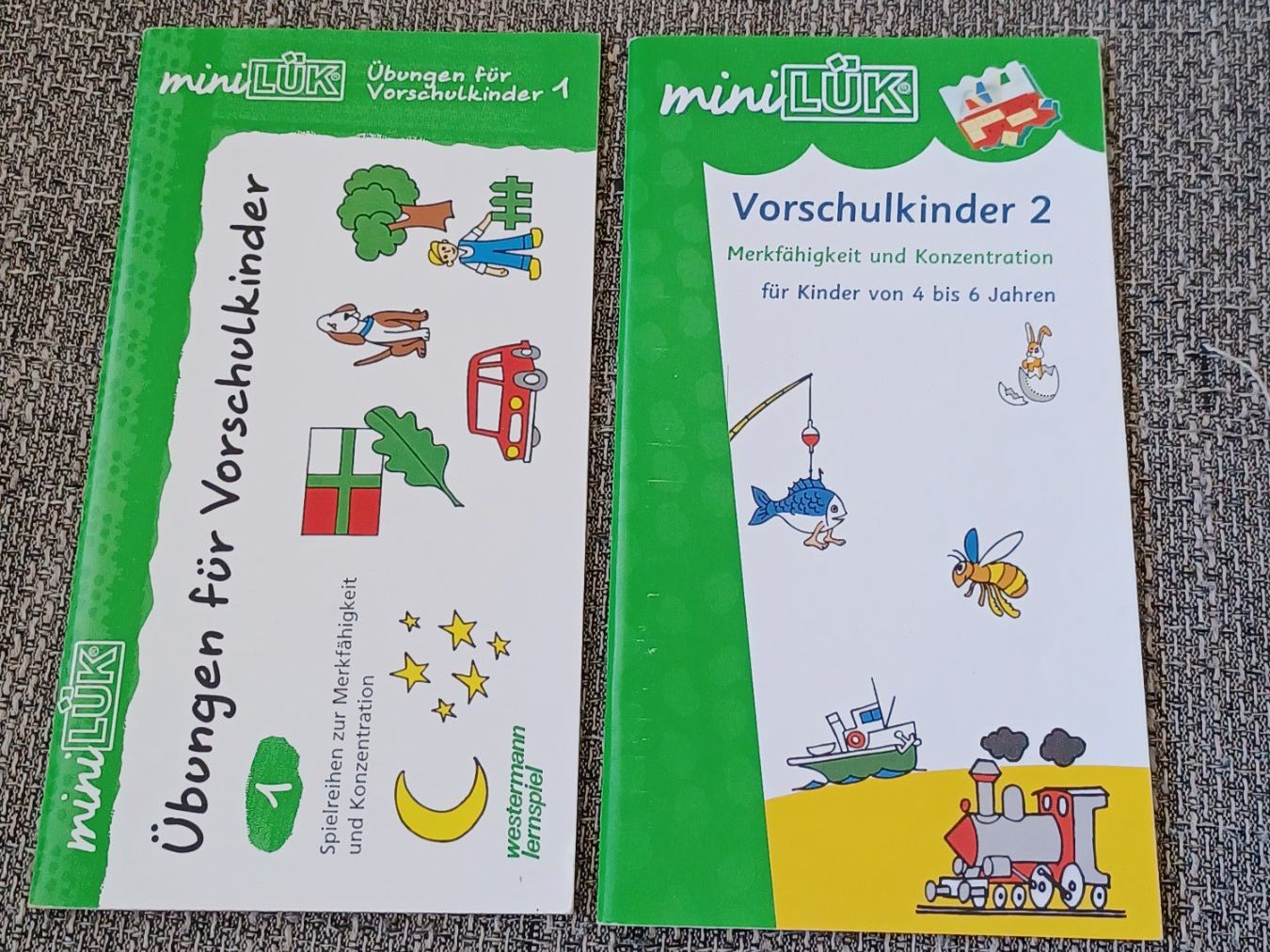 Libri: MiniLÜK Lernhefte Vorschule – Usato da Muhen venduto da sar_tb6l 2