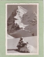 Eiger 1931