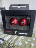 Rizoma terminali manubrio 