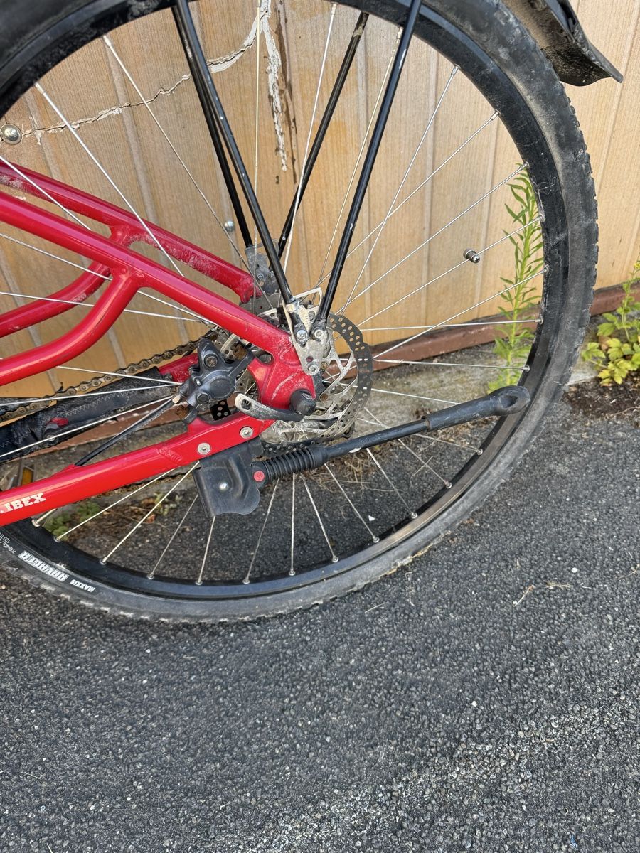 Ibex Velos: IBEX E-Bike (DEFEKT) – Defekt aus Oberentfelden von lam_vj88 4