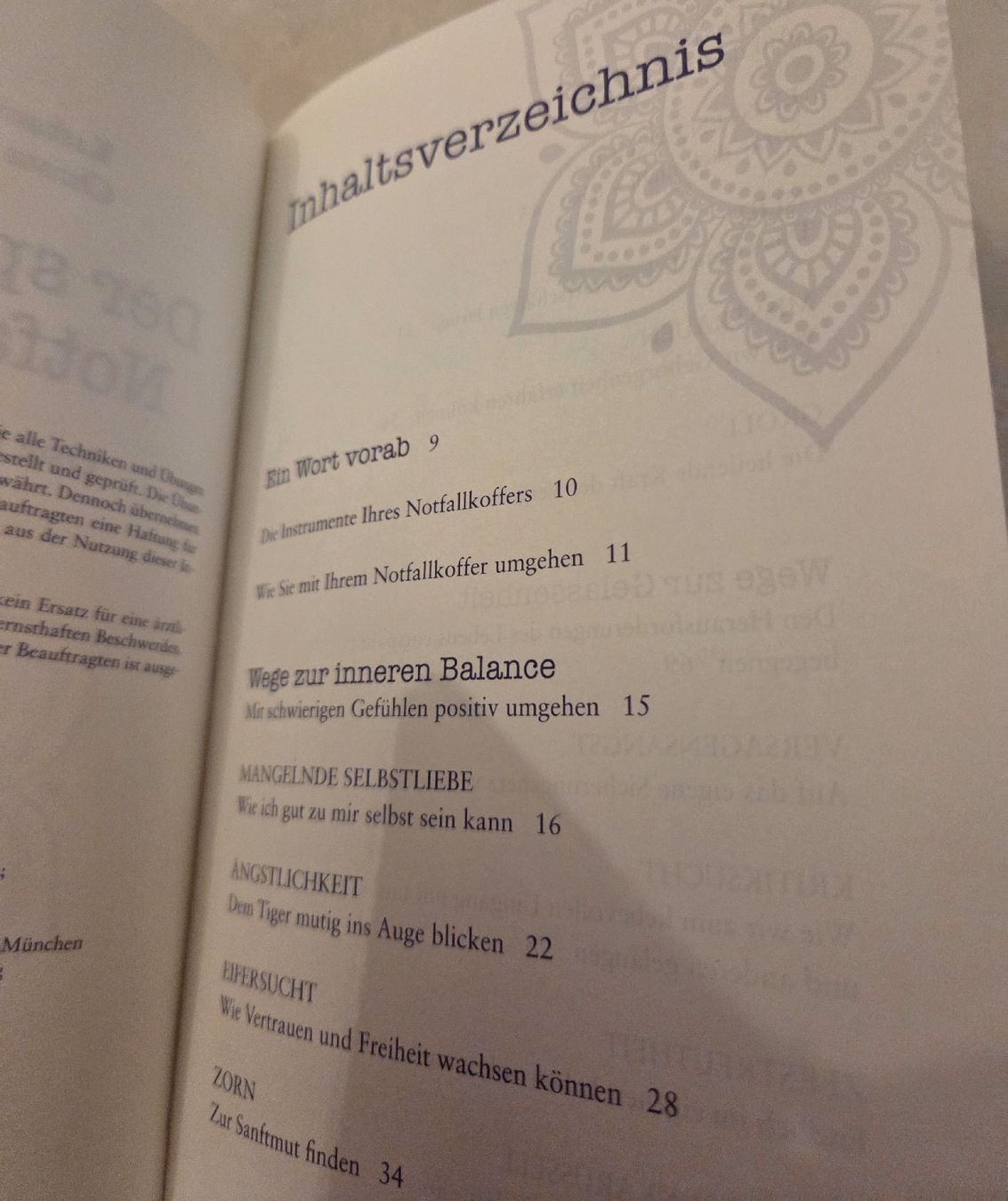 Bücher: Buch Der Spirituelle Notfall – Gebraucht aus Wetzikon ZH von strubeli444 1