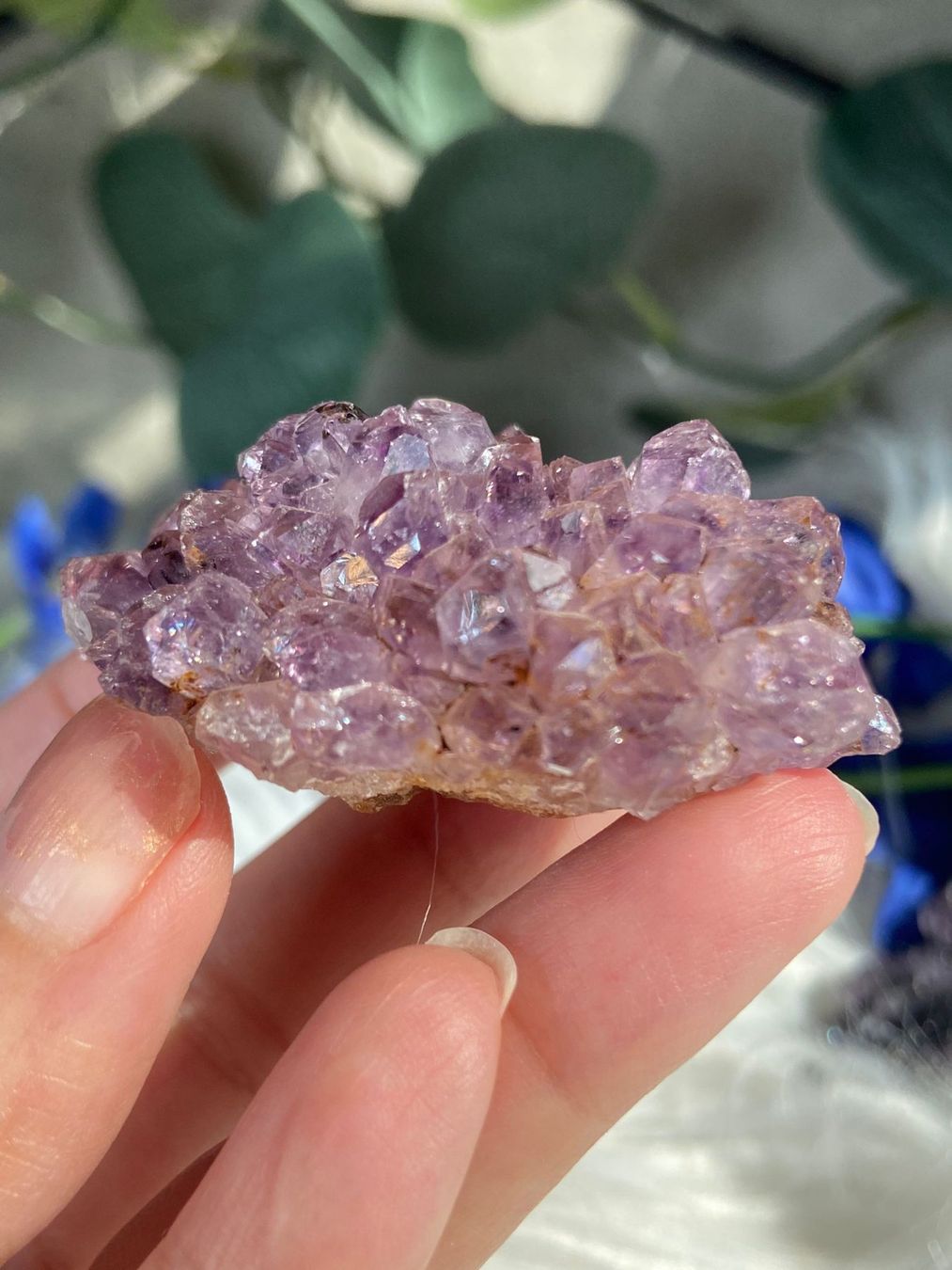Pietre preziose: Amethyst Rosettte mit Goethit – Nuovo (secondo la descrizione) da Neuheim venduto da m.hald 2