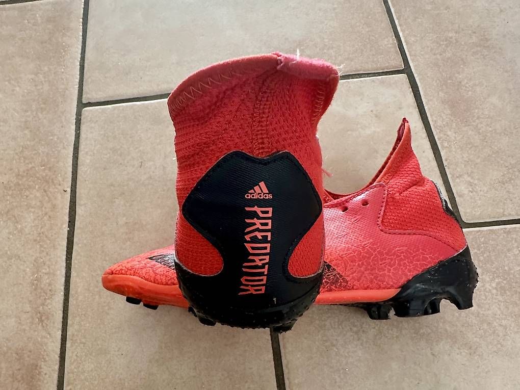Adidas Scarpe per ragazzi: ADIDAS PREDATOR 38 – Nuovo (secondo la descrizione) da Genestrerio venduto da Demis27 2