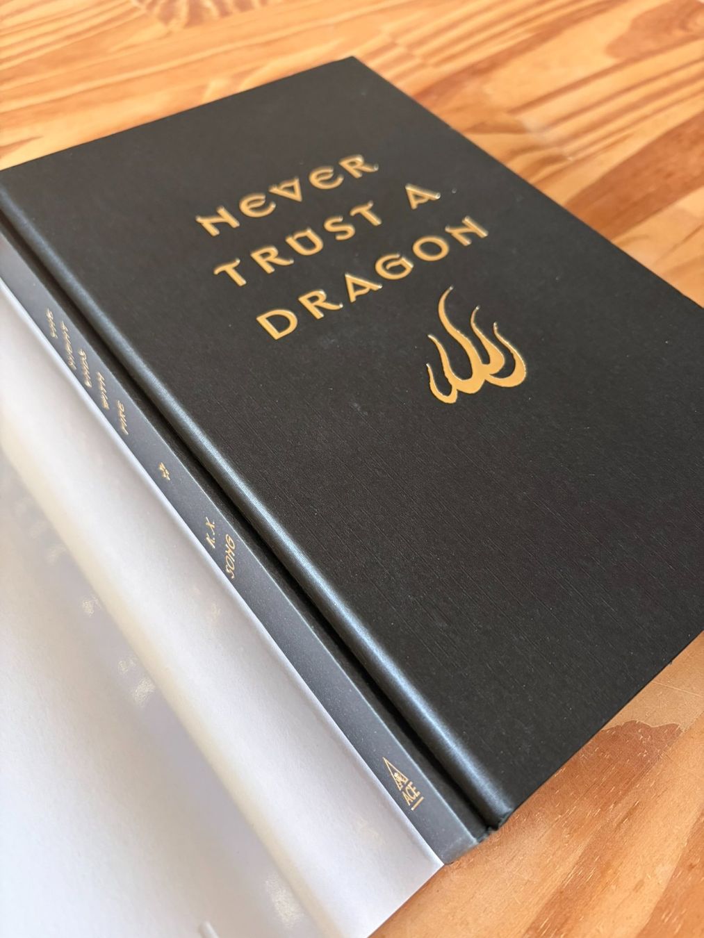 Libri: The Night Ends with Fire - K. X. Song – Usato da Schlieren venduto da con_hdp9 3