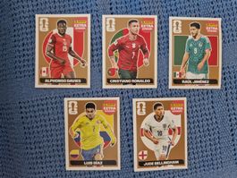 5 cartes Panini extra stickers Bronze exclusives