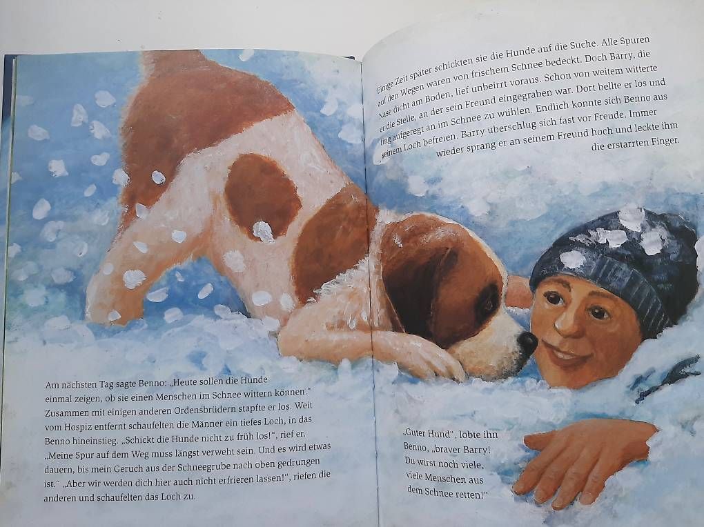 Libri: Kinderbuch "BARRY - Retter auf vier Pfoten" – Usato da Basel venduto da Renato_hirzi