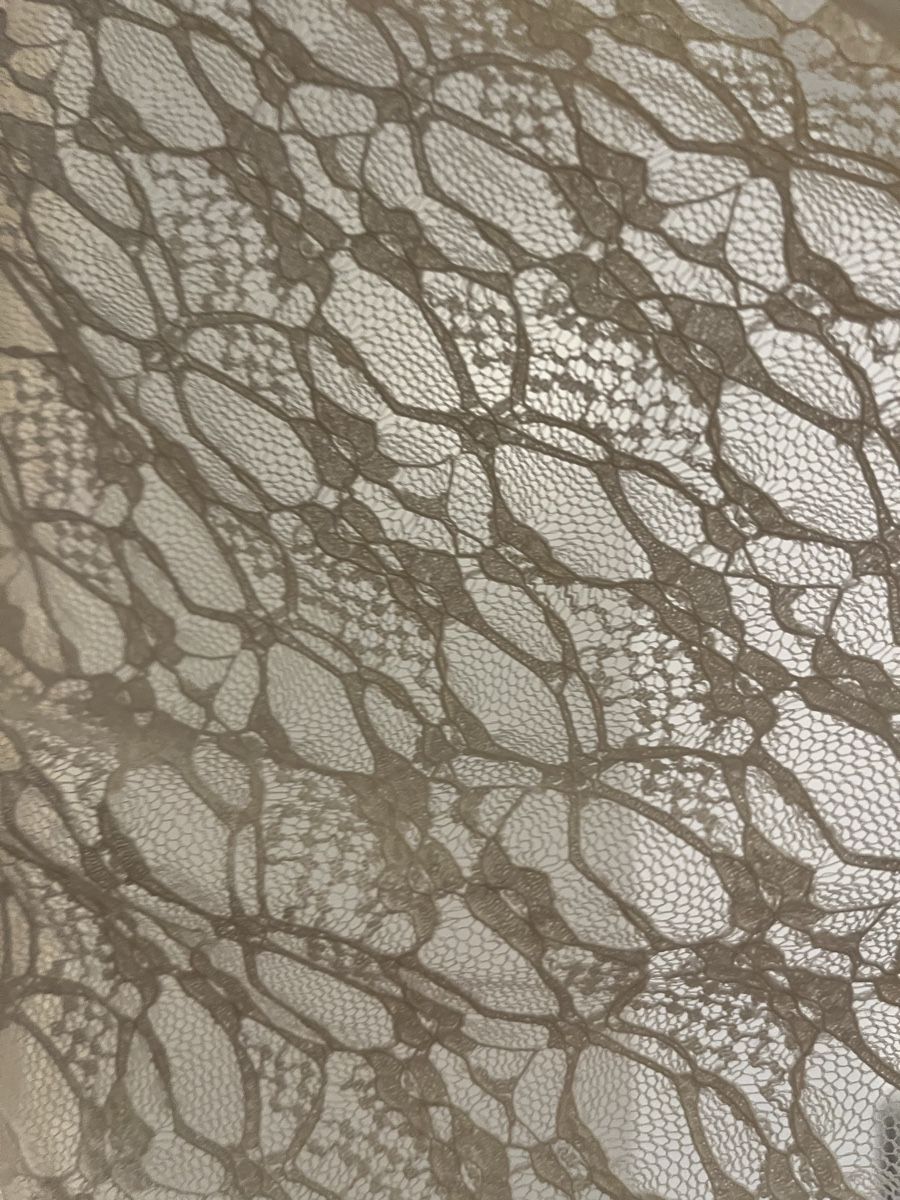 Zebra Blusen: Spitzen/Mesh Bluse in Creme – Neu (gemäss Beschreibung) aus Solothurn von mjt_6yvh 2
