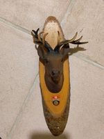Tête de cerf