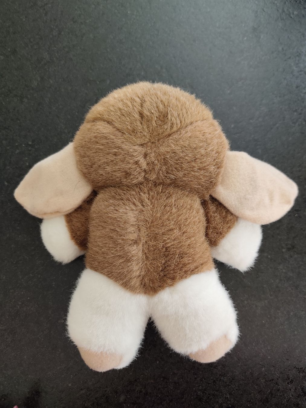 Statuette: Gremlins Gizmo – Usato da Meinisberg venduto da Destiny1972 2