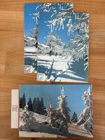 3 AK Neuschnee Wintermorgen