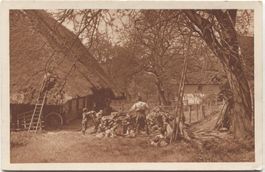 LANDWIRTSCHAFT/STROHDACHHAUS 1910 Aargau Aufnahme Dr. Jäger