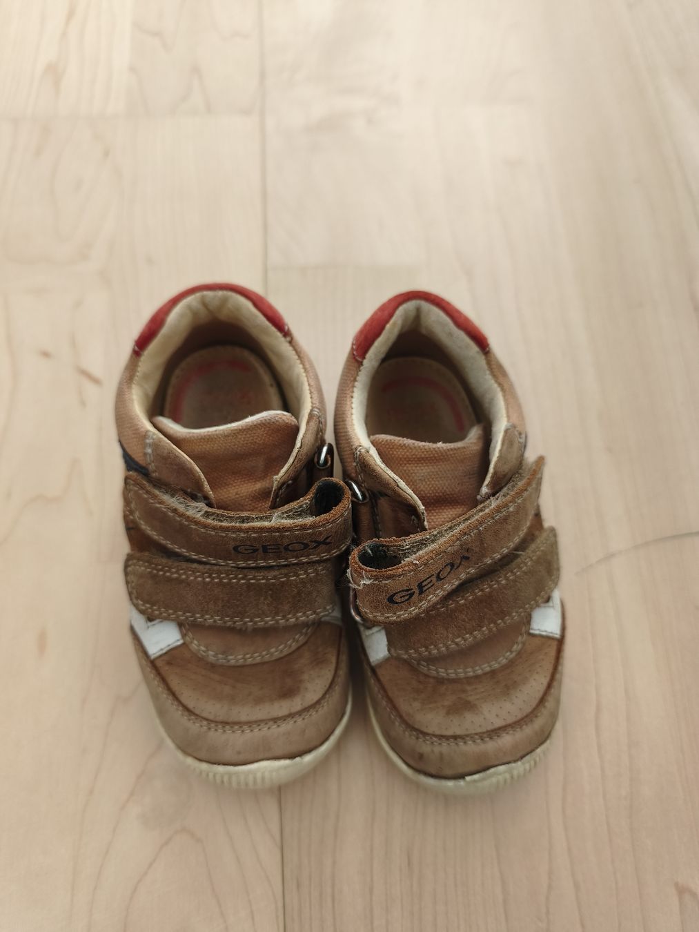 Scarpe per ragazzi: geox Schuhe Gr. 22 – Usato da Zürich venduto da fre_nhv6