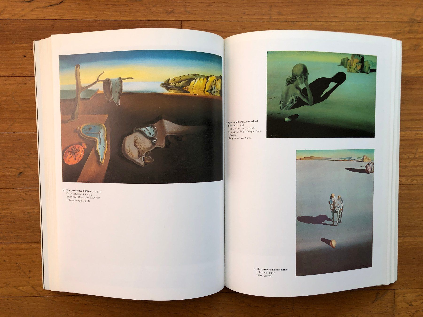 Libri: Kunst Buch: SALVADOR DALI - Tate Gallery – Usato da Lugano venduto da gio.yo 6