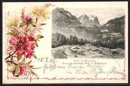 Reuti ob Meyringen, Blick auf Rosenlaui,