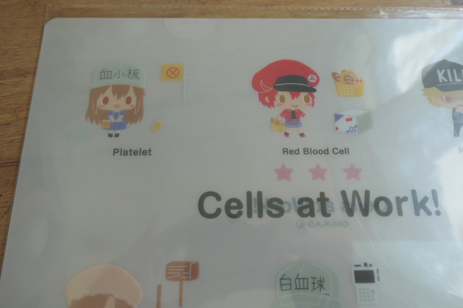 Figuren: Cells at Work Anime - Clear File Mäppli – Neu (gemäss Beschreibung) aus Ettiswil von maimaiswiss 1
