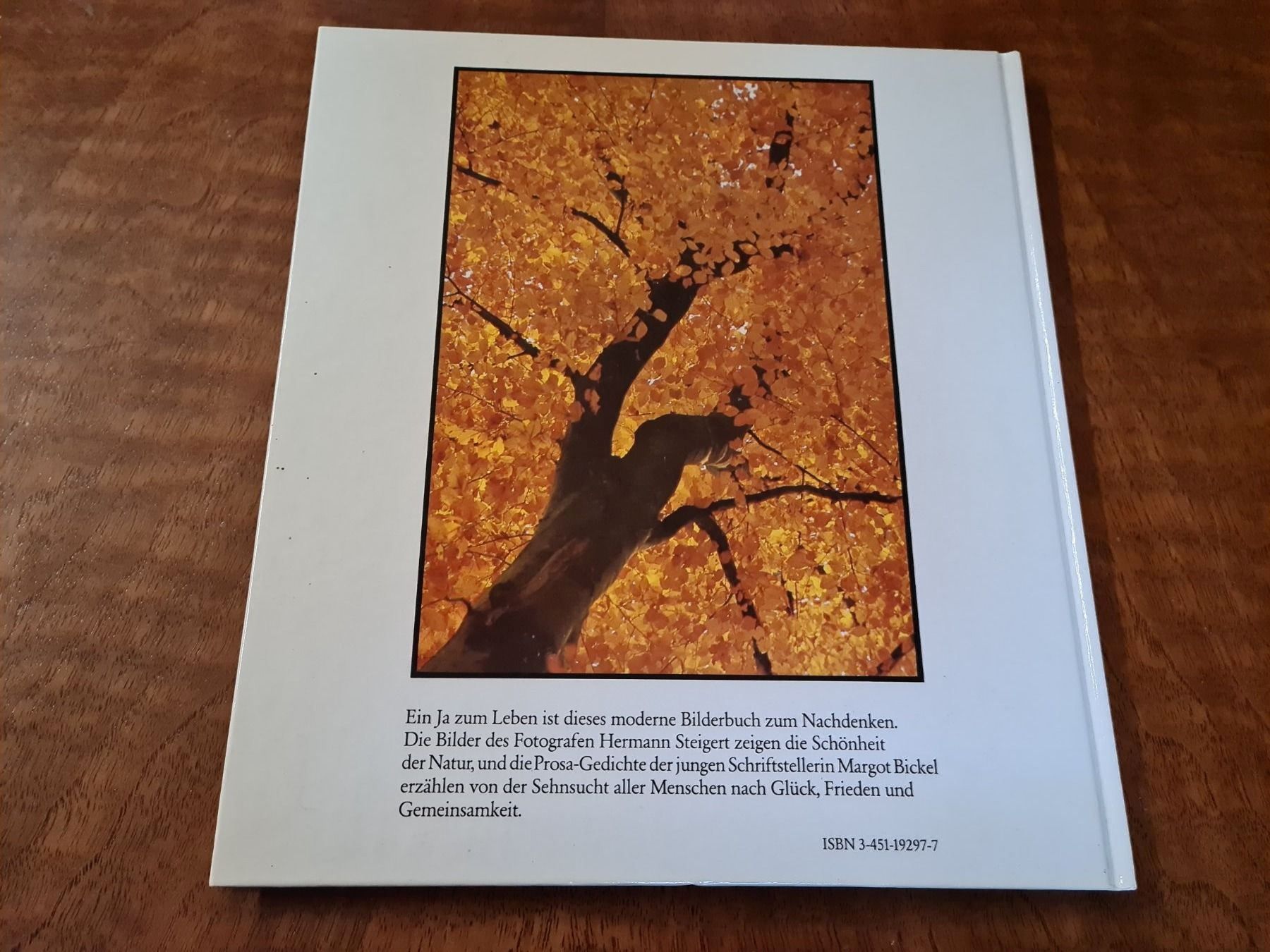 Libri: Pflücke den Tag – Usato da Erstfeld venduto da Mario_boe0 1
