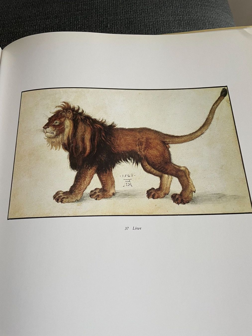 Libri: Libro sull’opera di Albrecht Dürer – Usato da Breganzona venduto da BlueBlue 2