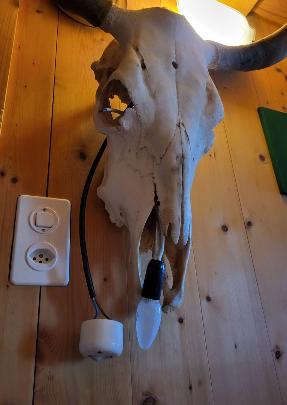 Lampade: Lampe Alte Kuhschädel – Usato da Wald ZH venduto da SwissPawnshop 6