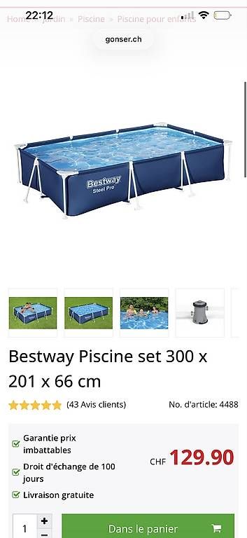 Piscine: Piscine BESTWAY 300x201x66 – Usato da Grand-Lancy venduto da Dsfo 1