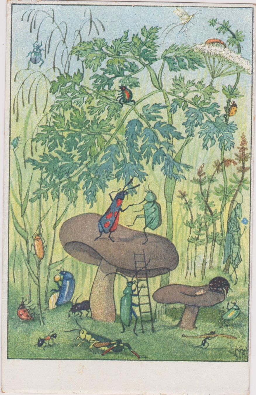 Ansichtskarten: Kreidolf, 1931 – Gebraucht aus Spiez von Niesen20