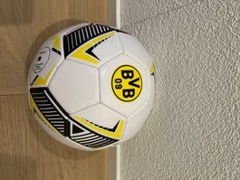 Original BVB Fussball von Puma