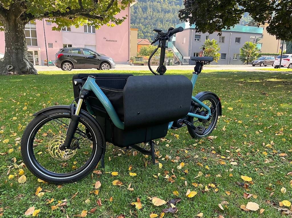 Velos: Vélo cargo électrique Riese & Müller Carrie vario – Gebraucht aus Martigny von Bikenjoy 4