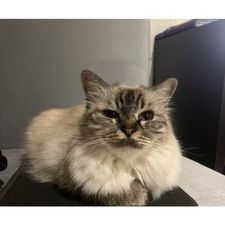 Profile image of NathMimi