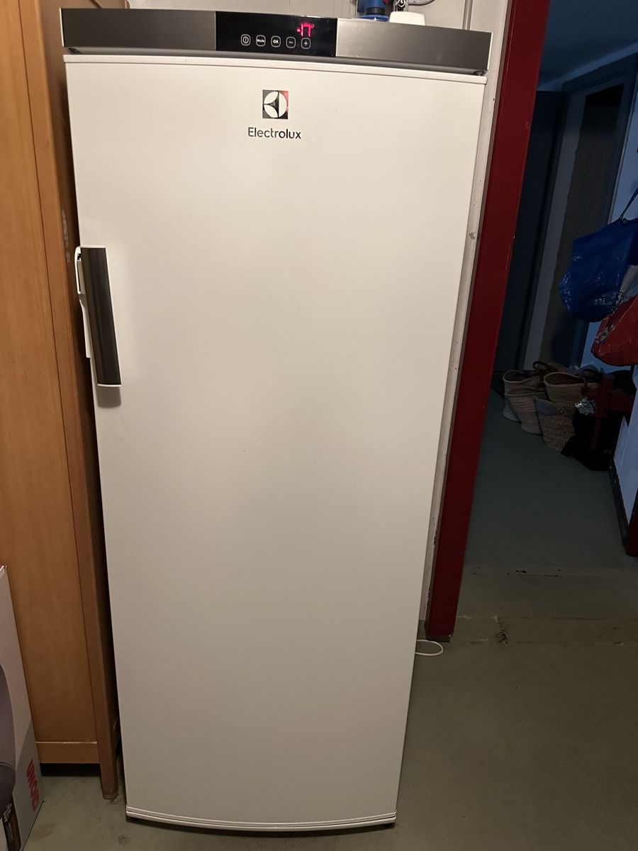 Electrolux Gefrierschrank: Gefrierschrank Electrolux SG198 – Gebraucht aus Zuchwil von Nik9093