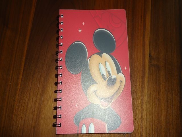 Blocchi: Mickey Mouse Disneyland Paris Notitzbuch aus Sammlung – Nuovo (secondo la descrizione) da Ergisch venduto da Haemmerli59