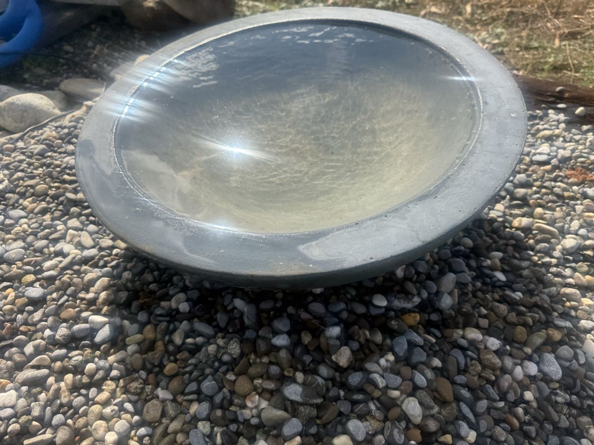 Schalen: Wasserschale – Gebraucht aus Horriwil von Carrera68 2