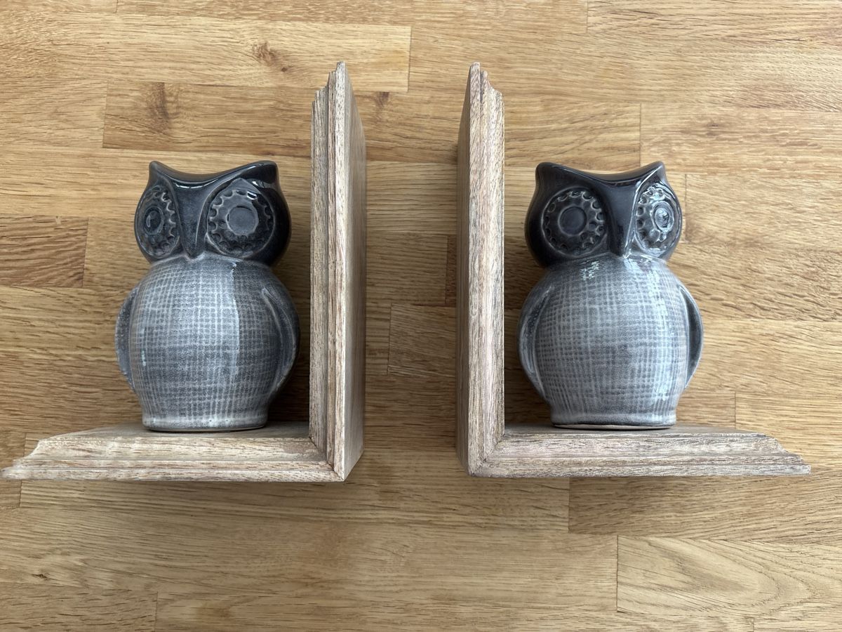 Altro in Decorazioni & Accessori: Eule Buchstützen Owl Book Ends – Nuovo (secondo la descrizione) da Bassersdorf venduto da rek_x2gl 2