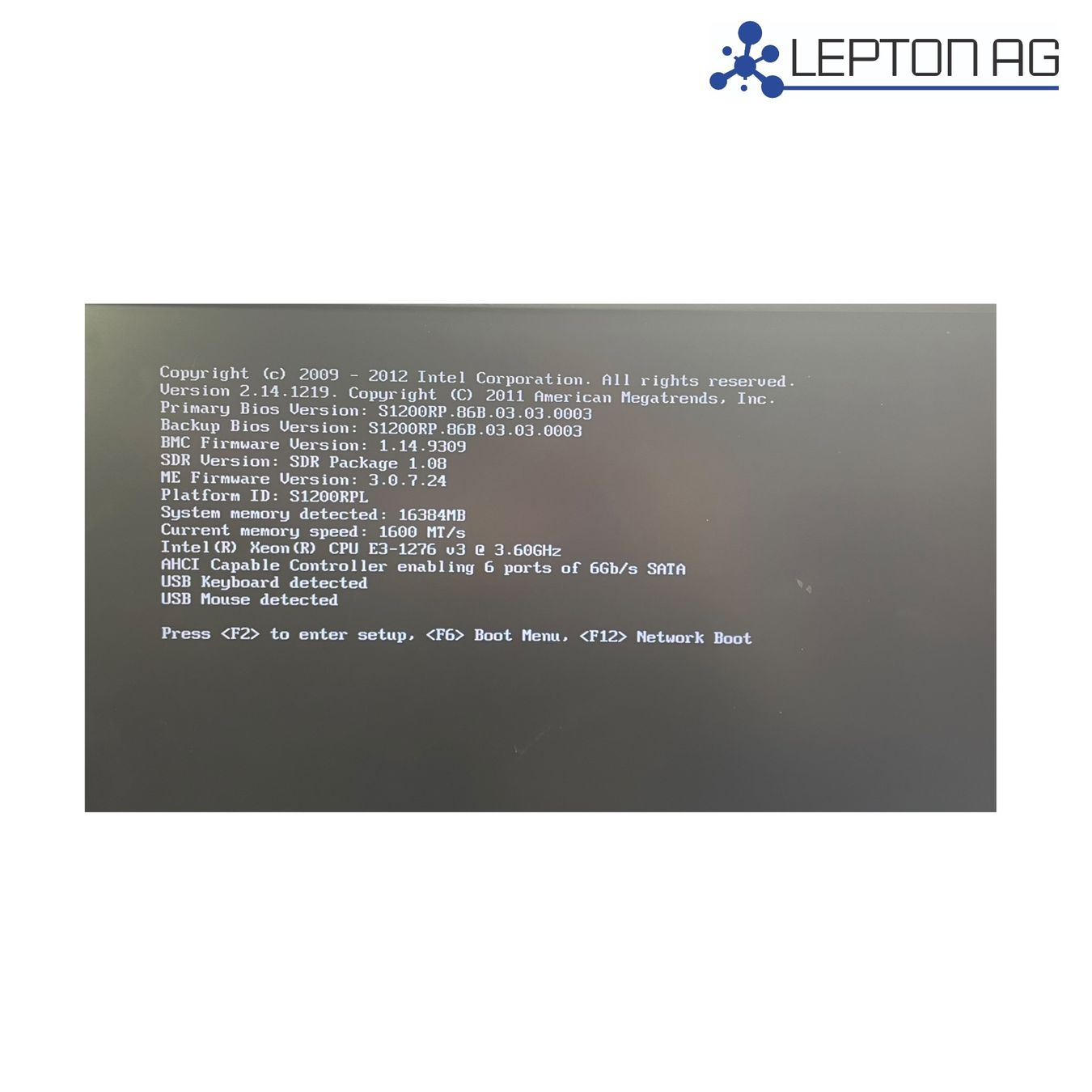 Server: AVAGO Aptio Raid Server/ Xeon-E3-1276 v3/16GB – Usato da Niederdorf venduto da LeptonAG 4