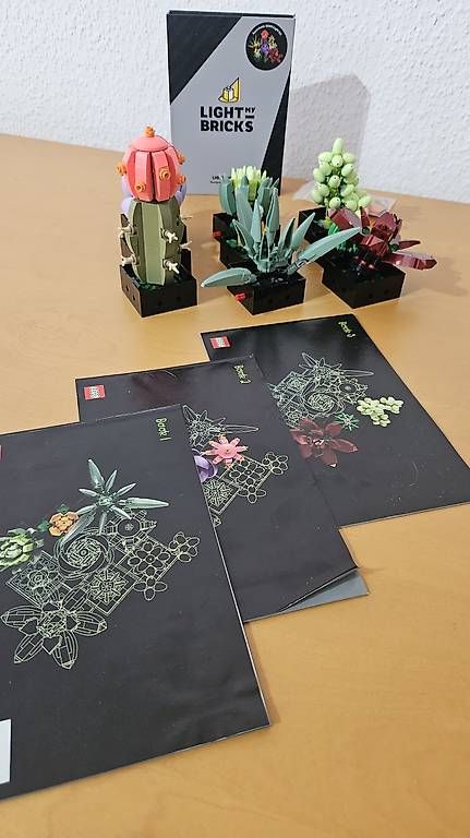 Lego Giocattoli: Sukkulenten 10309 LEGO Botanical & bricks LED Licht Set – Usato da Ebmatingen venduto da RetroVans