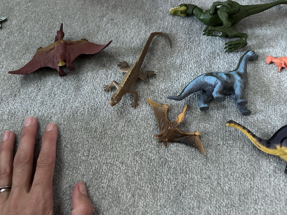Spielzeuge: Riesig Dinosaurier Sammlung – Gebraucht aus Hausen am Albis von ysgem 4