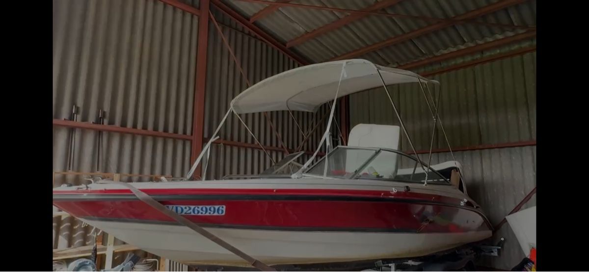 Bayliner Bateaux: Bayliner 2180CX Ski Challenger – Défectueux à La Croix (Lutry) par Jeceva 3