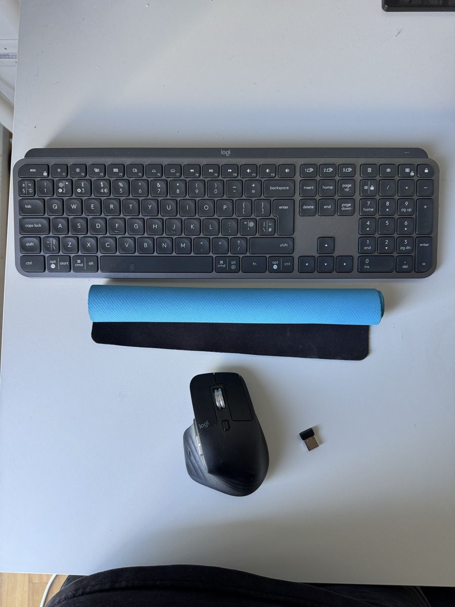 Logitech Tastiere: Logitech MX Keys + MX Master 3 + Mousepad – Usato da Zürich venduto da tim_t6kb