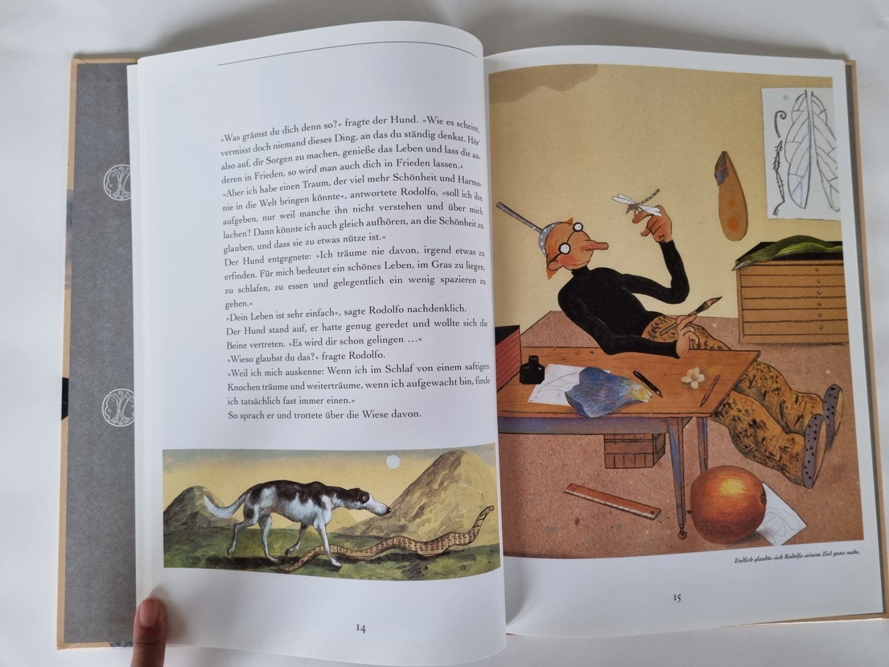 Libri: Schmetterlings-Werkstatt - Ein wunderschönes Kinderbuch – Usato da Opfikon venduto da Diversamente 6