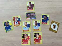 Stickers panini 