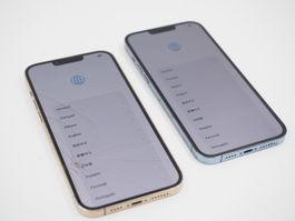 2x APPLE iPhone 13 Pro Max / A2643, A2644 (26100357)