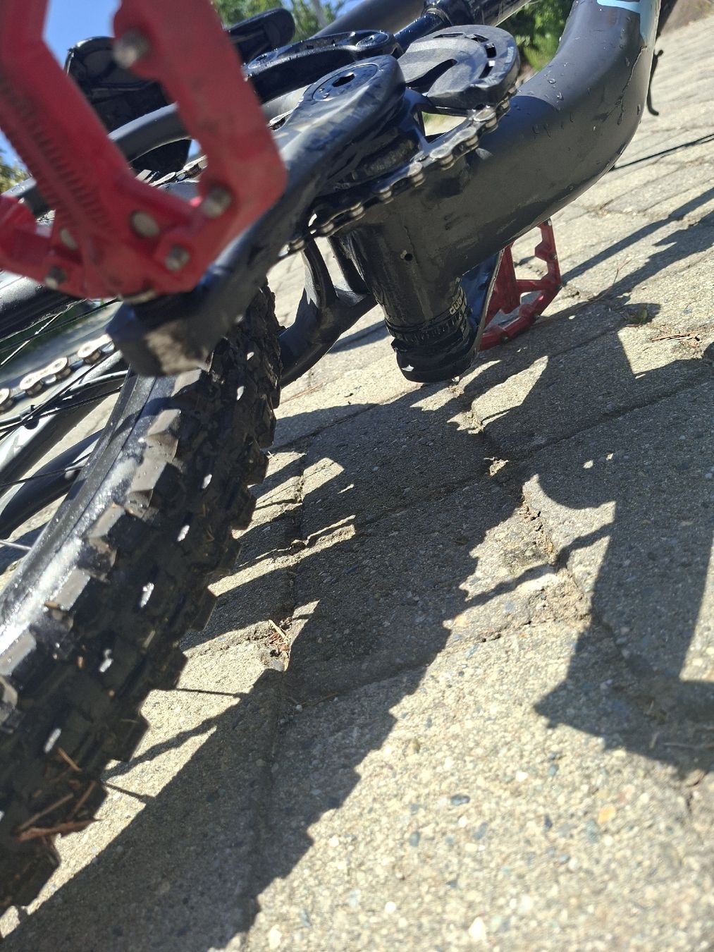 Specialized Biciclette: specialaized status 160 – Usato da Savièse venduto da max_5kwm 5