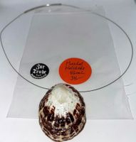 Halskette Muschel 46 cm.L