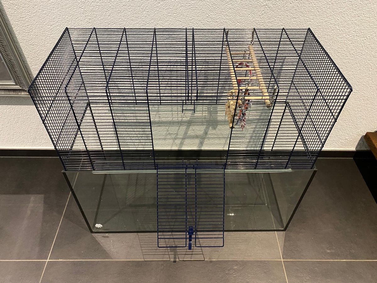 Gabbie, trasporto & Sicurezza: Hamsterkäfig – Usato da Oberdiessbach venduto da aurox 1