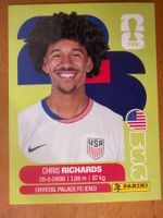 Panini USA3