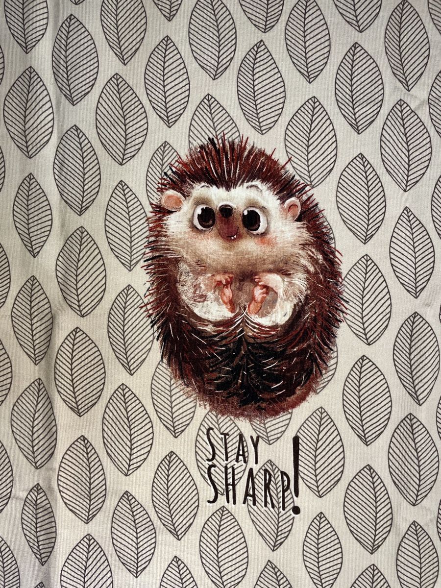 Tessuti: herziges Igel-Panel von Stenzo aus Sommersweat – Nuovo (secondo la descrizione) da Neuendorf venduto da Knopfi 1